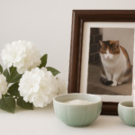 猫の写真と花を棚において供養する様子